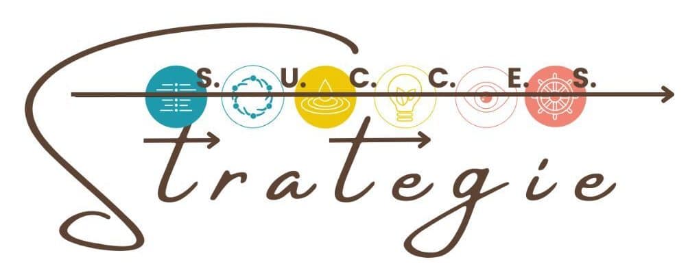Logo SUCCES Strategie