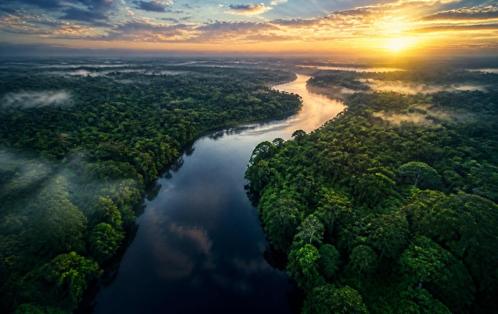 Luchtfoto van een rivier die door het Amazonewoud kronkelt bij zonsopkomst